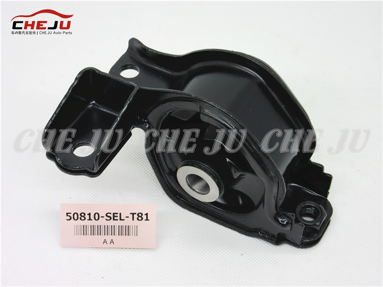 50810-TỰ-T81